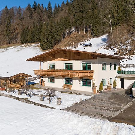Haus Am Waldrand Apartment Hopfgarten im Brixental Luaran gambar